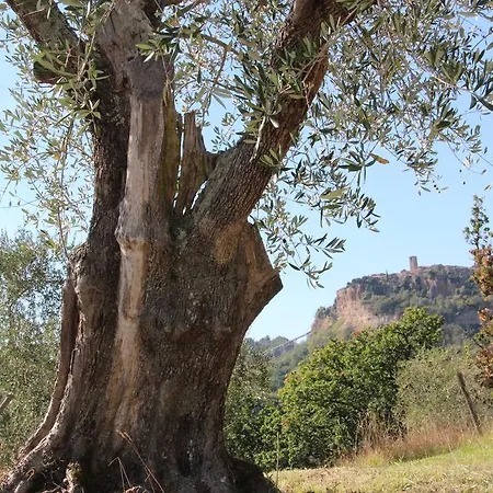 Villa I Calanchi Di Civita Bagnoregio