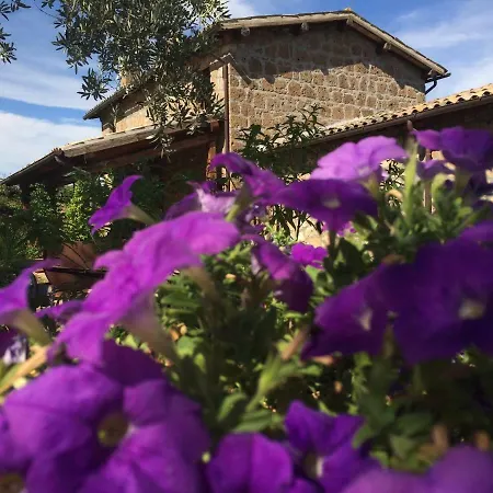 Villa I Calanchi Di Civita